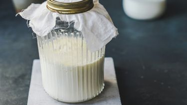 yoghurt kefir gezond