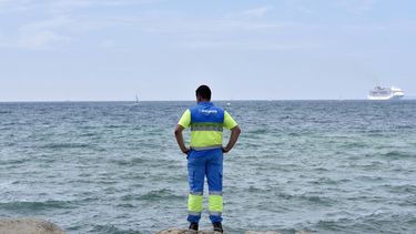 Giftige kwallen voor kust Mallorca, Menorca en Ibiza