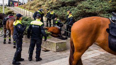 Politiepaard komt om tijdens demonstratie Nijmegen