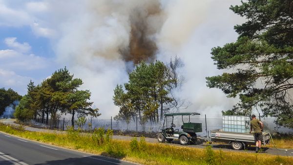 Natuurbrand in nationaal park Hoge Veluwe