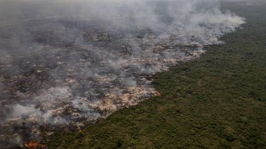 epaselect epa10985185 A view of areas affected by fire in the native forest in and around the Rio Negro Pantanal State Park in the city of Miranda, Brazil, on 18 November 2023 (Issued 19 November 2023). The flames continue to devour everything in their path in the Pantanal, the largest wetland on the planet, amid a climate of tension with landowners in the area, who resort to silence and coercion to prevent the disaster from spreading.  EPA/Isaac Fontana
