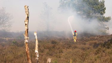 OIRSCHOT - De brandweer aan het werk bij de Oirschotse Heide in Noord-Brabant waar een natuurbrand is uitgebroken. De brand woedt naast de Generaal-majoor De Ruyter van Steveninckkazerne van de krijgsmacht, ten westen van Eindhoven. IRIS VAN DEN BROEK / ANP