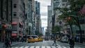 new york city, usa, vs, rattenplaag, ratten