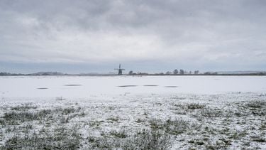 Sneeuw, Nederland, molen, landschap, winter, polder, sneeuwval, weerbericht