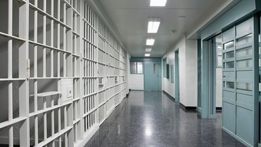 Appje kost stagiair in gevangenis mogelijk 50.000 euro
