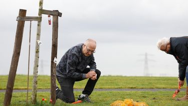 Vrijwilligers planten bloembollen bij MH17-monument