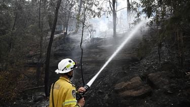 epaselect epa12573710 A firefighter uses a water hose to put out a bushfire spreading through the Koolewong area on the Central Coast, New South Wales (NSW), Australia, 06 December 2025. According to the NSW Rural Fire Service (RFS), the fire has burnt through more than 100 hectares in the Central Coast region and is yet to be controlled.  EPA/DAN HIMBRECHTS NO ARCHIVING AUSTRALIA AND NEW ZEALAND OUT