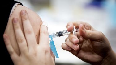 Obbligo di vaccinazione per i dipendenti di shell