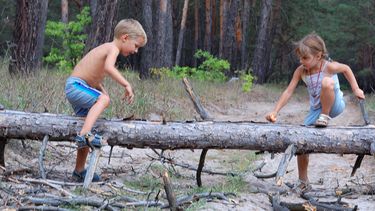 Een foto van drukke kinderen aan het spelen in het bos