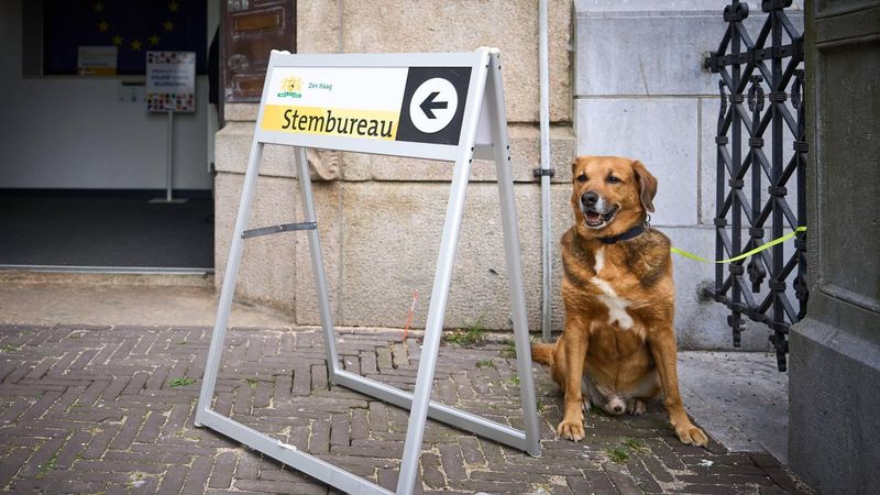 verkiezingen Tweede Kamer