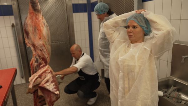 Vlees smakelijk vlees eten Kelly Mexy