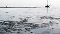 'We moeten beter zorgen voor de Waddenzee'.