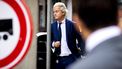Wilders wil de beste cartoons gaan bundelen. Foto: ANP