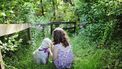 tuin tips