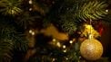 Kerstboom