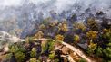 natuurbranden natuurbrand Limburg