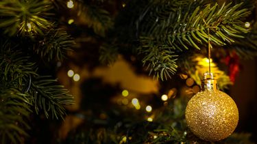 Kerstboom