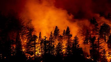 Foto van de bosbranden in de VS