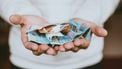 Vaste lasten, geld, inflatie, middeninkomens