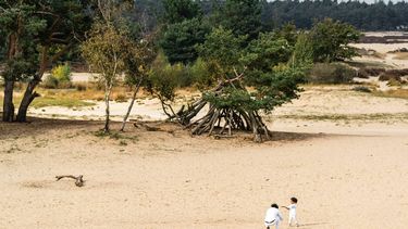 DRUNEN - Dagjesmensen wandelen in natuurgebied de Loonse en Drunense Duinen. De combinatie van herfstvakantie, prima weer, mooie herfstbossen en de nieuwe coronamaatregelen drijft mensen massaal de natuur in. ANP ROB ENGELAAR