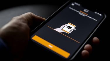 ILLUSTRATIE - Inloggen bij MijnOverheid met een DigiD om post van de overheid digitaal te kunnen ontvangen. ANP KOEN VAN WEEL