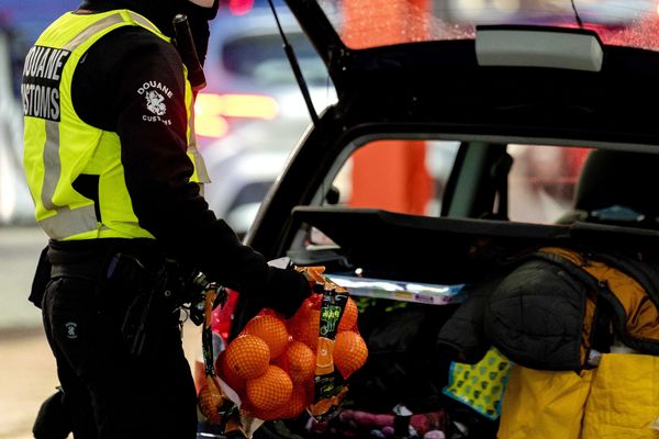 Een douanier haalt een zak sinaasappels uit een auto.