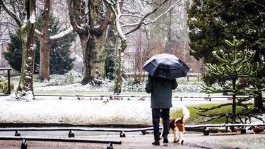 DORDRECHT - Mensen laten hun hond uit tijdens de eerste sneeuwval van het winterseizoen. In het hele land is code geel van kracht om gladheid door sneeuw en mogelijk beperkt zicht. ANP JEFFREY GROENEWEG