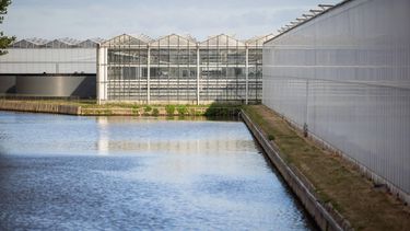 POELDIJK - Kassen in de gemeente Westland. De gemeente heeft zorgen over de economische en maatschappelijke gevolgen van het sproeiverbod dat het Hoogheemraadschap van Delfland heeft aangekondigd. Vanaf woensdag mag in het kustgebied van Den Haag tot aan Rotterdam geen water uit sloten, beken en kanalen meer worden gehaald. Dat raakt onder meer de Westlandse tuinbouw. LAURENS VAN PUTTEN / ANP
