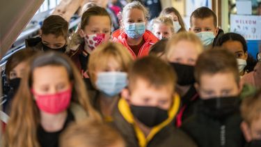 Corona, il mondo dei virus, le scuole di formazione Corona