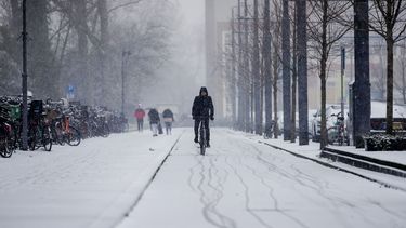 Bewijs Het Heeft Echt Gesneeuwd In Nederland
