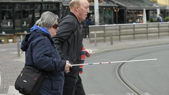 oversteekgebaar blinden