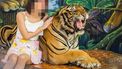 Op deze foto zie je en tijger die mishandeld is om met toeristen op de foto te kunnen.