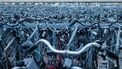 Fietsers hebben lak aan 54 waarschuwingsborden 