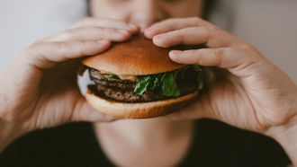 Vlees, burger, eten, hamburger, fastfood, voedsel