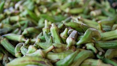 Okra, groente, okra water