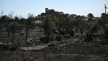 This photograph shows a burnt area in front of houses as a wildfire rages in the southern France department of Pyrenees-Orientales near the town of Trevillach, near Perpignan, on July 7, 2026. The wildfire in the Pyrenees-Orientales, which has already burned 4,900 hectares not far from Perpignan but did not spread overnight—thanks in large part to backfires set by firefighters—has led to the evacuation of a total of 12,000 people, the department’s prefect said on July 7, 2026.
Lionel BONAVENTURE / AFP