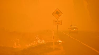 Noodtoestand in hoofdstad Australië vanwege bosbranden.