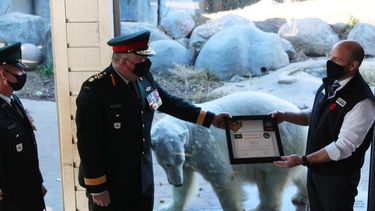 Een foto van de IJsbeer met haar certificaat.