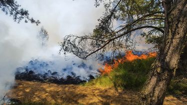 Meerdere bosbranden op de Veluwe