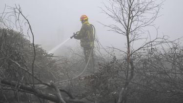 A firefighter uses a water hose as smoke emanates from burnt vegetation during operations against a wildfire at the Hautes Fagnes (High Fens) nature reserve near Waimes, on August 18, 2026. Rain started falling in Belgium on August 17, 2026 to help its fight against the country's biggest modern-day wildfire that has devastated some 3,000 hectares (7,500 acres) of the High Fens park on the border with Germany. Some 500 firefighters and troops are battling the blaze that has sent a huge cloud of black smoke across the region into neighbouring Germany and France. Scientists have long warned that climate change caused by human use of fossil fuels will make periods of drought more intense and longer-lasting, creating the ideal conditions for wildfires.
JOHN THYS / AFP