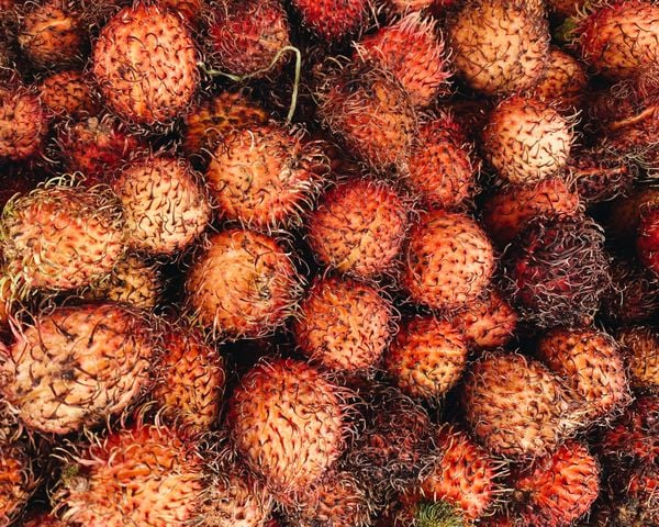 Против бръчки рамбутан плодове Азия