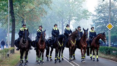 foto van politie op paarden