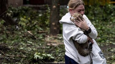 epa10688461 A woman holds her cat at the scene of an apartment block, hit by a Russian missile, in Kryvy Rih, Dnipropetrovsk region, Ukraine, 13 June 2023. At least three people were killed and 25 others were wounded in an overnight Russian missile strike on a five-story apartment building in the city of Kryviy Rih in Ukraine's Dnipropetrovsk region, according to Mayor Oleksandr Vilkul. Russian troops entered Ukraine on 24 February 2022 starting a conflict that has provoked destruction and a humanitarian crisis.  EPA/STAS KOZLIUK