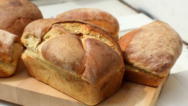 Wil je brood langer bewaren?