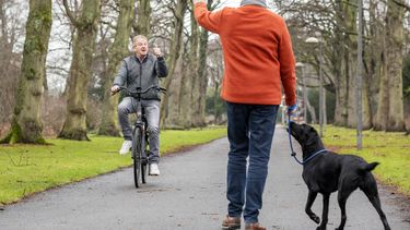 hond honden hondenbelasting