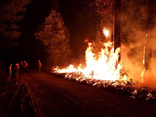 Alle bosbranden in Californië zijn onder controle