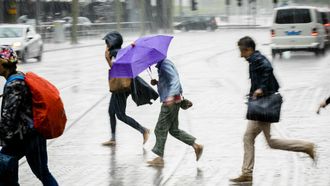 De kans is groot dat we de komende dagen regelmatig door de regen moeten rennen. Foto: ANP
