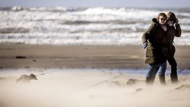 IJMUIDEN - Storm Dudley raast over het strand bij IJmuiden. Het KNMI heeft code geel voor heel Nederland afgegeven. ANP REMKO DE WAAL