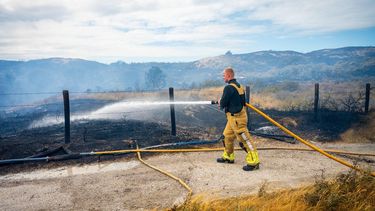 WASSENAAR - Een brand in de duinen bij Wassenaar. De brandweer heeft veel mensen en wagens naar het terrein gestuurd. JOSH WALET / ANP