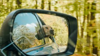 auto dode hoek